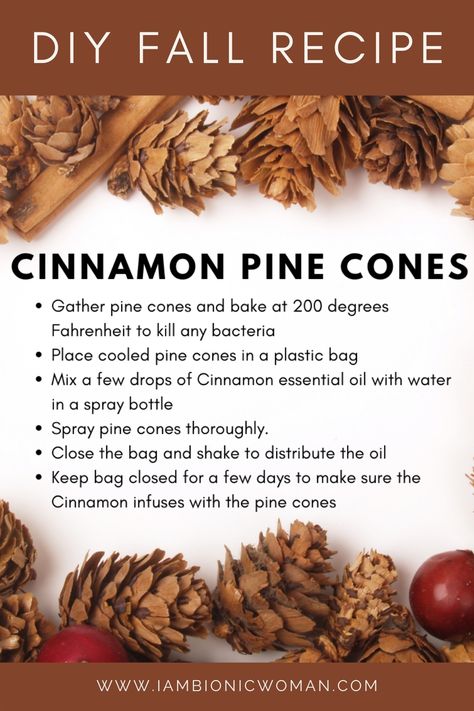 cinnamon pinecones Diy Cinnamon, Potpourri Recipes, Christmas Gift Basket Ideas, Cinnamon Essential Oil, Fall Recipe, Cones Crafts, Christmas Gift For Mom, Pine Cone Crafts, Christmas Gift Basket