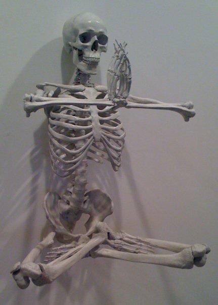 Goofy Ahh Skeleton, Skeleton Pics Funny, Funny Skeleton Poses, Halloween Comics, Skeleton Pics, Silly Skeleton, Skeleton Meme, Cool Skeleton, Celtic Festival