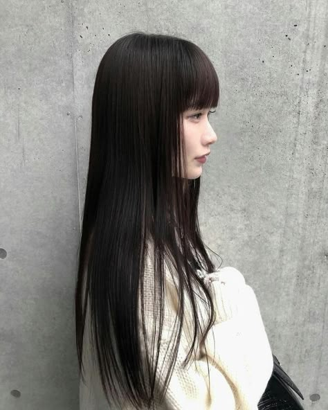 Long Black Hair With Bangs Korean, Dark Hair Bangs, Black Hair Bangs, Long Straight Black Hair, Korean Long Hair, Black Long Hair, Hair Doctor, Straight Black Hair, Fashion Technology