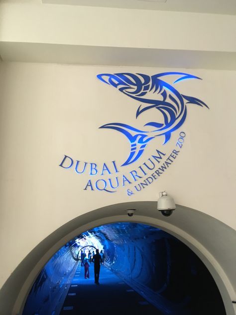 Dubai Mall Aquarium, Dubai Ideas, Jumeriah Beach, Underwater Hotel, Dubai Aquarium, Travel Dubai, Dubai Video, Dubai Houses, Billionaire Luxury