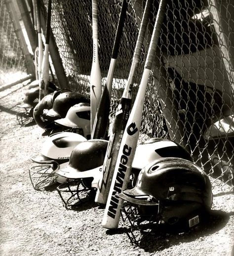 Softball Asthetic Photos, Soft Ball Aesthetic, Cricutjoy Projects, Nola Aesthetic, Softball Pictures Poses, Softball Backgrounds, Softball Photography, Baseball Dugout, Softball Photos