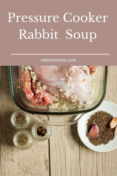 A recipe for rabbit noodle soup made in your instant pot or pressure cooker. Instapot Rabbit Recipes, Rabbit Stew Instant Pot, Instant Pot Rabbit Recipe, Instant Pot Rabbit, Crockpot Rabbit Recipe, Rabbit Soup, Backyard Livestock, Cooking Rabbit, Easy Rabbit Recipe