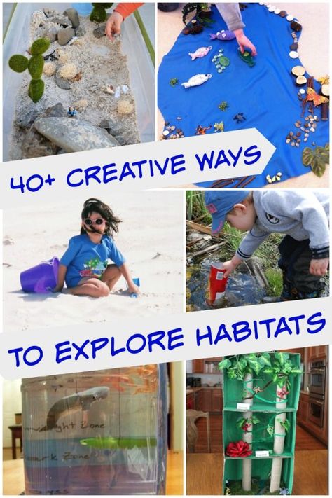 Explore a variety of animal habitats with these hands-on science activities, fun crafts, webcams and unique projects! Animal Science Experiments, Habitat Activities, Habitats Projects, Science Crafts, Animal Science, Kindergarten Science, Animal Activities, Preschool Science, Animal Habitats