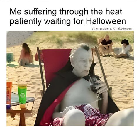 come on come on come on.......#September #halloween Halloween Memes, Summer Humor, Funny Horror, Love Is, Bones Funny, Halloween Funny, Mood Pics, Halloween Fun, Funny Gifts