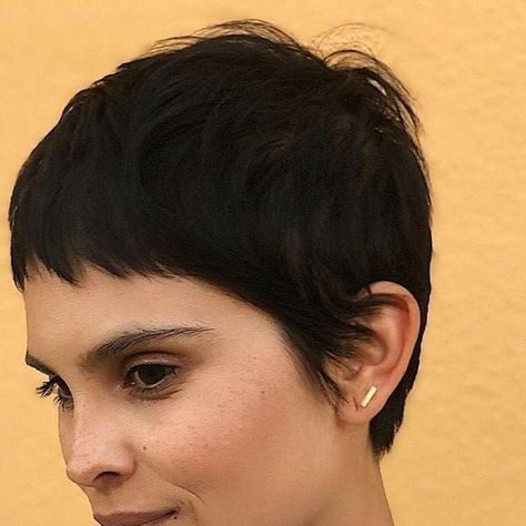 Razor Pixie, Classic Pixie, Pixie Haircut Ideas, Crop Hair, Short Hair Pixie Cuts, Hair Inspiration Short, Super Short Hair, Shot Hair Styles, Very Short Hair