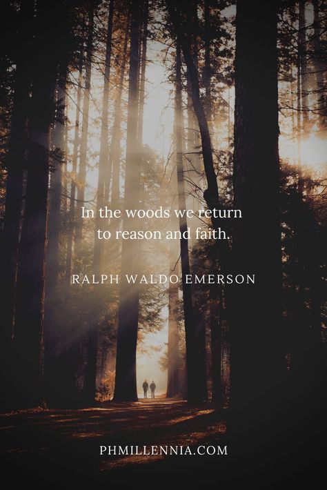 In To The Woods Quotes, Forest Captions, The Woods Quotes, Woods Quote, Wood Quotes, Forest Quotes, Into The Woods Quotes, Ralph Waldo Emerson Quotes, Emerson Quotes