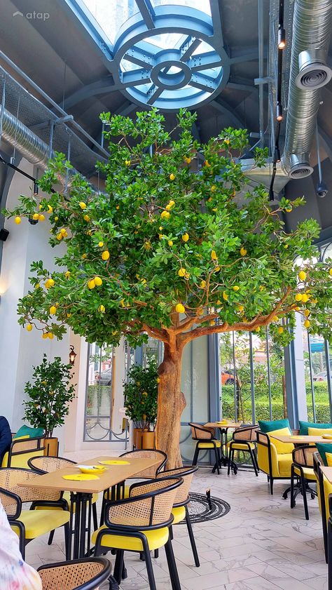 Lemon Cafe Interior, Lemon Tree Restaurant, Tree Cafe Design, Lemon Interior Design, Breakfast Cafe Design, Farm Cafe Design, Cafe Concept Ideas, Restaurant Concept Ideas, Lemon Restaurant