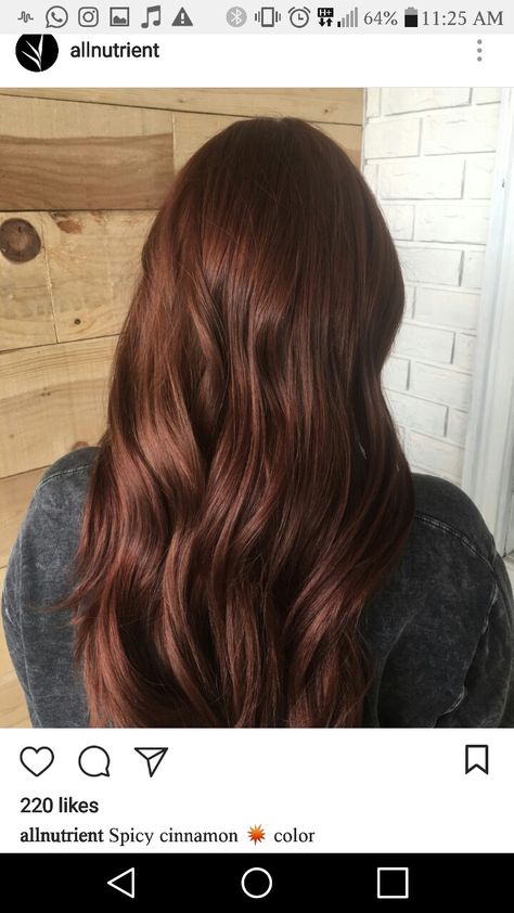 Chestnut Brown Hair With Red Undertone, Auburn Curly Hair Color, Wedding Guest Dress For Petite Women, Russet Brown Hair, Chestnut Hair Color Dark, Dark Brown Copper Hair Color, Auburn Aesthetic, Dark Brown Auburn Hair, Dark Copper Brown Hair