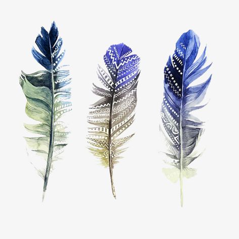 Watercolor Feather, Feather, Blue ... Feather Vector, Watercolor Feather, Bohemian Eclectic, Boho Feathers, Feather Painting, Feather Art, Square Art, Invitation Wedding, White Bird