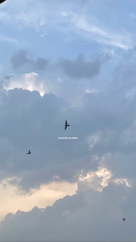 Text On Photo Instagram Story, Jaipur Diaries, A Love Like No Other, Sky Captions, Sunset Captions, Nature Photography Quotes, Sunset Quotes Instagram, Morning Photography, Sky Quotes