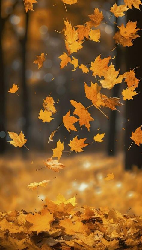 Fall Leaves Blowing In The Wind, Autumn Forest Photography, Leaves Falling Aesthetic, Fall Foliage Aesthetic, Falling Leaves Photography, Falling Leaves Wallpaper, Fall Leaves Photography, Fall Foliage Photography, Fall Leaves Pictures