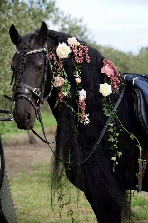 Horse Hair Braiding, Horse Halloween Costumes, Horse Flowers, Horse Wedding, Horse Mane, Horse Aesthetic, Most Beautiful Horses, Most Beautiful Animals, Friesian Horse