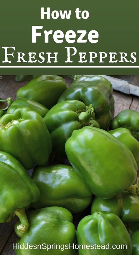 Freezing Green Peppers, Preserving Peppers, Freezing Food Guide, Freezing Bell Peppers, Green Pepper Recipes, Freezing Peppers, Freezing Vegetables, Canning Vegetables, Freeze Greens