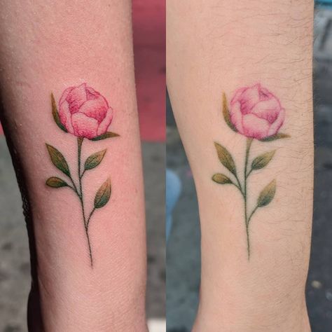 Fresh Vs Healed Tattoo, Healed Tattoo, Peonies Tattoo, Some Times, Tattoo Ink, Tattoo Inspo, Color Tattoo, Ink Tattoo, Body Art