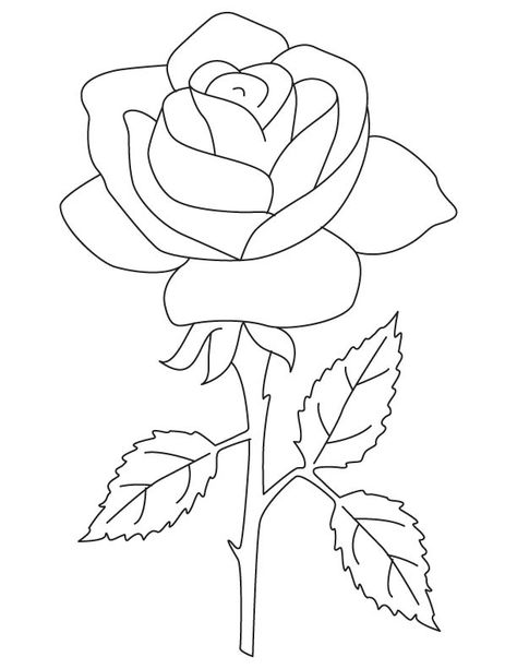 Rose rose rose coloring page Rose Coloring, Rose Outline, Rose Coloring Pages, Bahasa Jepun, Pola Bordir, صفحات التلوين, Roses Drawing, Pola Sulam, Sticker Wall