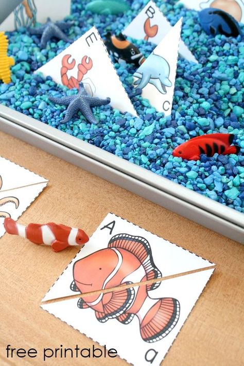 Ocean ABC Sensory Bin-Preschool Ocean Theme activity for sensory play and letter recognition. Free printable included Ocean Lesson Plans, Paper Craft Ideas For Kids, Preschool Ocean, Ocean Theme Preschool, Ocean Activities, Summer Preschool, Abc Activities, Paper Craft Ideas, Under The Sea Theme