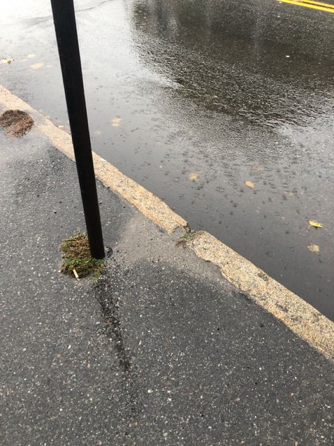 I took this picture to show my friends how rainy it was when i was waiting at the bus stop, they were already on their bus and i was showing them how i was suffering 🫠 Rainy Bus Stop, Rainy Street, Chapter One, Bus Stop, The Bus