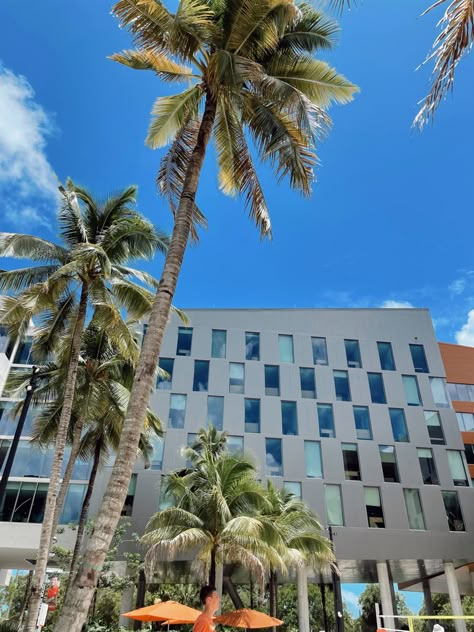 University Of Miami Aesthetic Campus, Umiami Girl Aesthetic, Miami College Aesthetic, Umiami College Aesthetic, Umiami Student Aesthetic, Umiami Dorm, University Of Miami Aesthetic, Umiami College, U Miami