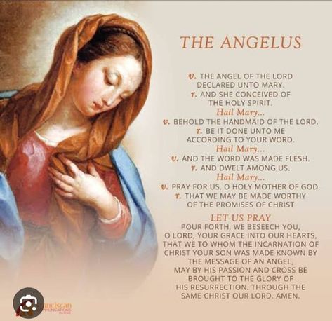 TRADITIONAL LATIN MASS CATHOLICS | Prayer of the Angelus | Facebook Marian Devotion, The Angelus, Latin Mass, Let Us Pray, Hail Mary, Pray For Us, Move Mountains, Daily Prayer, Holy Spirit