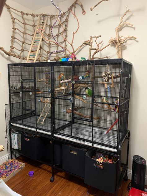 Homemade Bird Aviary, Diy Bird Play Stand, Diy Large Bird Cage, Parrot Setup, Budgie Cage Setup Ideas, Cockatiel Bird Cage Setup, Bird Cage Setup Ideas, Cockatiel Cage Setup Ideas, Budgie Enclosure