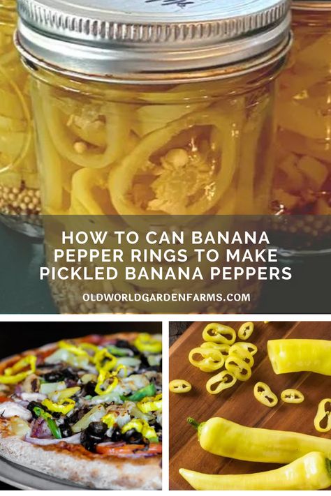 Pickling Sweet Peppers Recipe, Pickled Yellow Banana Peppers, Canning Yellow Banana Peppers, Pickled Sweet Banana Peppers Recipe Canning, Picking Banana Peppers, Diy Banana Peppers, Ways To Preserve Peppers, Banana Pepper Rings Canning, Canned Sweet Banana Peppers