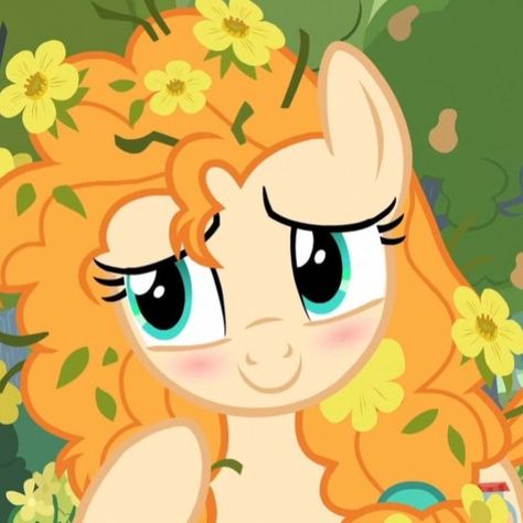 Flower In Hair, Pear Butter, My Little Pony Wallpaper, Personajes Monster High, Equestria Girl, My Lil Pony, My Little Pony Drawing, My Little Pony Characters, Mlp Equestria Girls