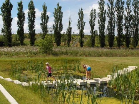 Water-retention Boulevard, Luxembourg by ELYPS Landscape + Urban Design « Landscape Architecture Platform | Landezine Urban Landscape Architecture, Landscape Urban Design, Landscape Architecture Park, Retention Pond, Landscape And Urbanism Architecture, Water Architecture, Urban Landscape Design, Pond Landscaping, Water Pond