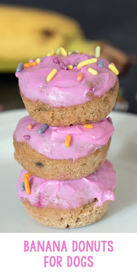 Banana Doughnuts for Dogs Donuts For Dogs, Door Shutters, Homemade Dog Cookies, Dog Cake Recipes, Pet Treats Recipes, Easy Dog Treat Recipes, Dog Biscuit Recipes, Easy Dog Treats, Healthy Dog Treats Homemade