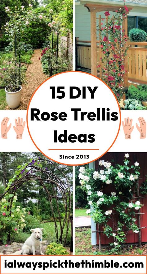 15 DIY Rose Trellis Ideas: Build a Climbing Rose Support Diy Rose Support, Rose Lattice Ideas, Roses Support Ideas, Diy Rose Arch Trellis, Trellis Ideas Diy Climbing Roses, Trellis Ideas Diy Climbing Vines Front Of House, Diy Flower Trellis, Climbing Plant Trellis Ideas, Diy Trellis For Roses Climbing