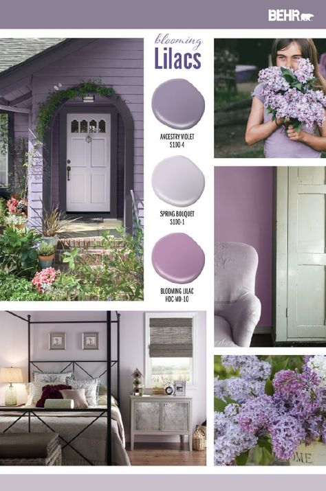 Looking to add a subtle pop of color to your home this summer? Find inspiration for your next DIY home makeover project with Behr Paint in Ancestry Violet, Spring Bouquet, and Blooming Lilac. Click below to learn more. Lilac House Exterior, Behr Purple Paint Colors, Behr Purple, Lilac Grey Paint, Lilac And Grey Bedroom, Lilac Paint Color, Lilac Living Room, Lilac Room, Color Categories