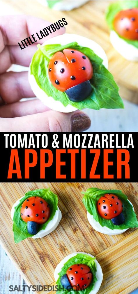 Ladybug Appetizers, Ladybug Snacks, Caprese Salad Appetizer, Caprese Salad Bites, Mozzarella Appetizers, Caprese Appetizer, Caprese Bites, Tomatoes And Mozzarella, Mozzarella Tomato