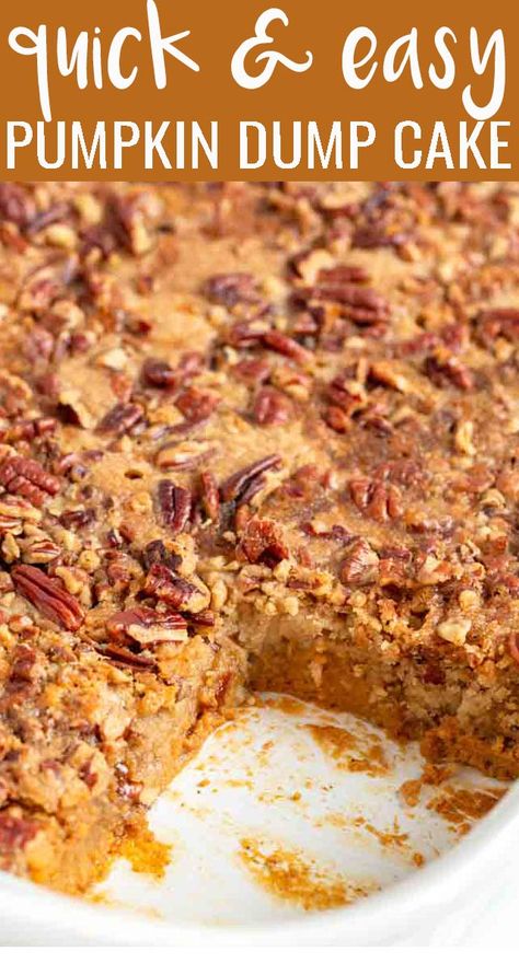 Pumpkin Pecan Dump Cake, Pecan Dump Cake, Pumpkin Pie Dump Cake, Cake With Pecans, Easy Pumpkin Dump Cake, Pumpkin Dump Cake Recipe, Pumpkin Dump, Pecan Pumpkin, Pumpkin Crunch Cake