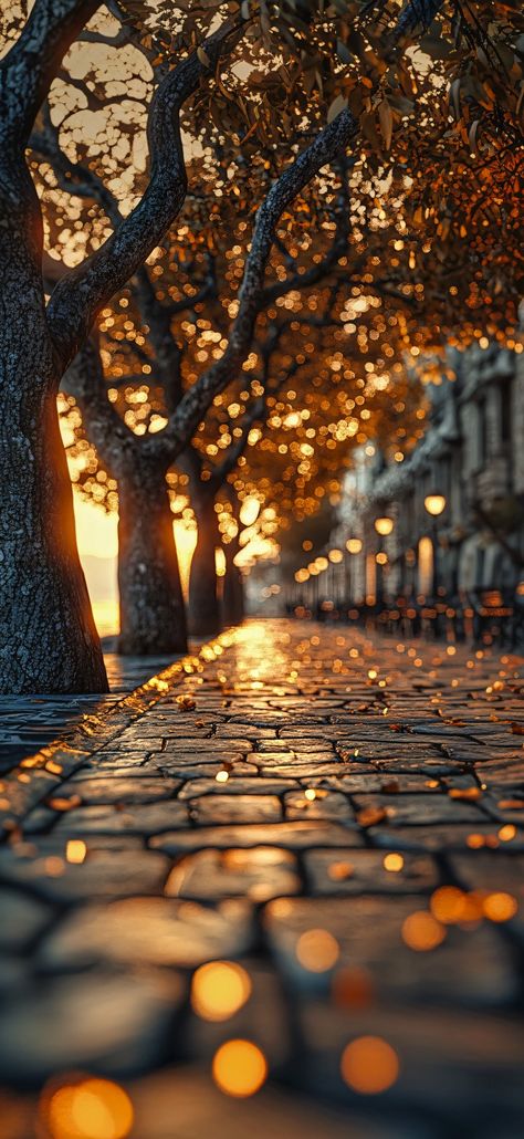 Pretty Landscapes, Autumn Scenes, Autumn Scenery, Cool Wallpapers Art, Fall Pictures, Pretty Wallpapers Backgrounds, Jolie Photo, Fall Wallpaper, Landscape Wallpaper