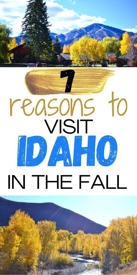 Idaho In The Fall, Island Park Idaho, Stanley Idaho, Family Vacation Ideas, Rexburg Idaho, Visit Idaho, Idaho Travel, Sun Valley Idaho, Fall Vacations