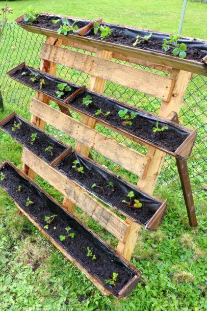 Container Gardening : DIY Strawberry Planter -Easy and unexpensive Strawberry Planting Ideas Diy Projects, Wooden Strawberry Planter, Tiered Strawberry Planter, Strawberry Containers Ideas, Vertical Strawberry Planter, Strawberry Beds Ideas Diy, Diy Strawberry Planter, Hanging Strawberry Planter Ideas, Strawberry Planter