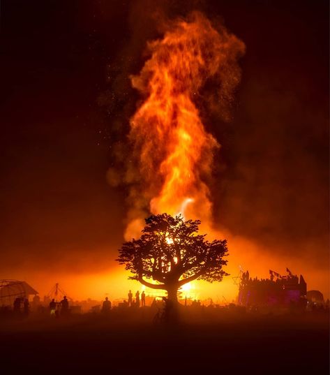 To see all my shots from Burning Man, I have a special portfolio over at stuckincustoms.smugmug.com/Burning-Man/- I hope you see something in there that surprises your and/or makes you happy!#burningman #tree #art #nevada #Burningman2017 Magdiel Lopez, Fire Photography, Fire Burning, Fire Signs, Forest Fire, Burning Man, 그림 그리기, Amazing Nature, Blog Photography