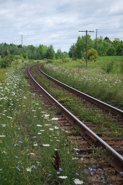 Train Crossing, Challenging Times, Stay On Track, Rabbit Hole, Train Tracks, Ho Scale, Dream Job, Model Trains, Public Transport