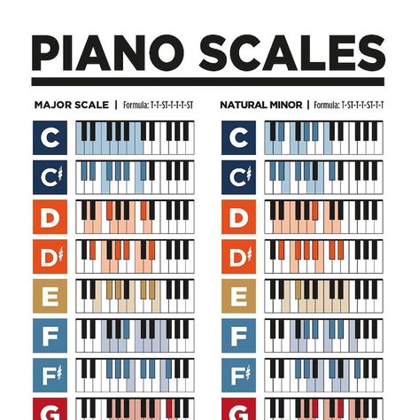 Buy Piano Chords and Scales Music Theory Printable Poster Pack. for Musicians and Pianist. Learn Piano Theory Posters. Piano Chords. Online in India - Etsy Piano Scales Chart, Piano Theory, Basic Music Theory, Music Basics, Music Theory Piano, Beginner Piano Music, Piano Scales, Reading Sheet Music, Piano Chords Chart