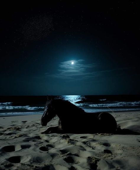 Horse Riding Aesthetic, Ocean At Night, Equestrian Aesthetic, Horse Wallpaper, Horse Aesthetic, Majestic Horse, Pretty Animals, By The Ocean, Fantasy Aesthetic