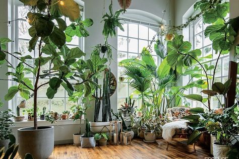 Plant Stylist Hilton Carter's Home Will Make You Green With Envy - Essence Indoor Gardens, Plant Decor Indoor, Plant Aesthetic, House Plants Decor, Room With Plants, Green Interiors, Green Rooms, House Plants Indoor, Bohemian Home