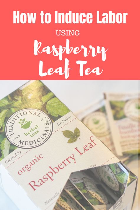 Learn how to use a natural induce labour with Raspberry Leaf Tea. This is a great method for natural induction, helps with postpartum recovery and fast labor. Minimizes labor pain and helps with natural postpartum healing. Raspberry Leaf Tea Labor, Rasberry Leaf Tea, Raspberry Leaf Tea Benefits, Raspberry Leaf Tea Pregnancy, Red Raspberry Leaf Tea, Natural Induction, Postpartum Healing, Pregnancy Tea, Raspberry Leaf Tea