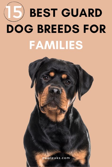 Finding the best dog breed to guard and protect your family and house is harder than it sounds. If you only want a dog that alerts or frightens away strangers, any dog that barks will do. But if you want a dog for personal protection you cannot only look at breeds with this trait because not all dogs can be protection trained. The right training here is essential and will ensure that your dog makes a perfect job at guarding while being the best family companion. #guarddog #dogtraining #familiy Dogs For Families, Best Guard Dog Breeds, Dog Breeds For Families, Best Family Dog Breeds, Beauceron Dog, Protective Dog Breeds, Personal Protection Dog, Family Dogs Breeds, Guard Dog Breeds