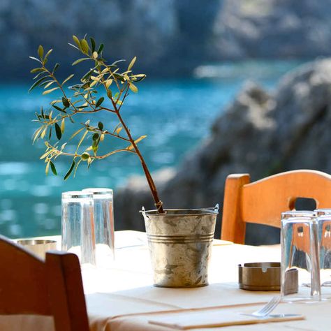 Greece (Crete) Honeymoon Destination Guide | Traveler's Joy Mediterranean Living, Sailing Holidays, Karpathos, Honeymoon Planning, Greek Cooking, Wine List, Honeymoon Destinations, Olive Tree, Best Places To Eat