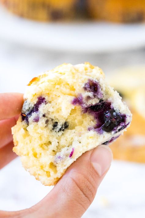 A lemon blueberry muffin broken in half to show the moist middle with juicy berries. Lemon Blueberry Muffins Recipe, Moist Muffins, Blueberry Juice, Lemon Blueberry Muffins, Candied Lemons, Lemon Muffins, Muffin Recipes Blueberry, Lemon Pie, Lemon Blueberry