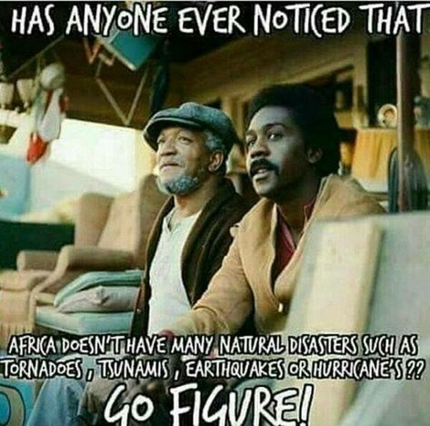 Definitely something to think about. Sanford And Son, Black Fact, Black Consciousness, Black Knowledge, African History, African American History, Black Culture, History Facts, Black People