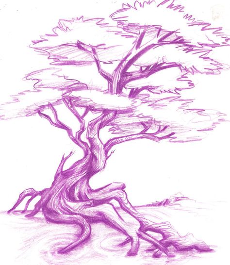 Redbud Tree Drawing, Cherry Willow Tree, Ink Tree Illustration, Willow Tree Reference, Cherry Blossom Tree Drawing Pencil, Ceiba Tree Tattoo, Cherry Blossom Tree Tattoo Design, Sakura Tree Sketch, Big Tree Tattoo