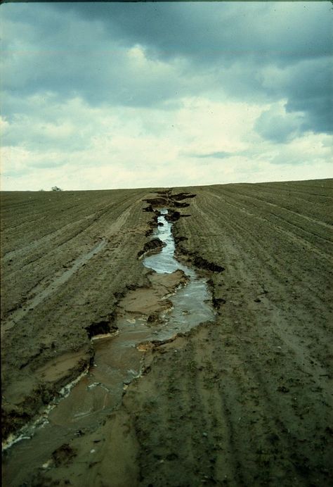 An actively eroding rill on an intensively-farmed field in eastern Germany Eccentric Home, Potassium Chloride, Soil Erosion, What Is Water, Soil Layers, Sustainable Farming, Paul Cezanne, How To Make Paint, Garden Irrigation System