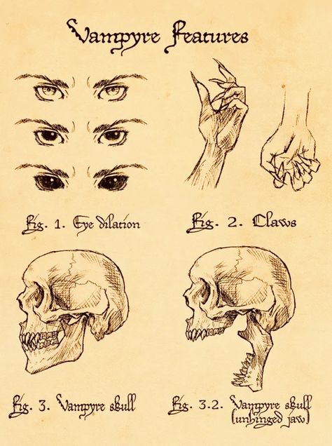 Vampire Anatomy, Vampire Book, Body Horror, Britney Spears Pictures, Dantes Inferno, Mythological Creatures, Zombie Apocalypse, Book Page, Mythical Creatures