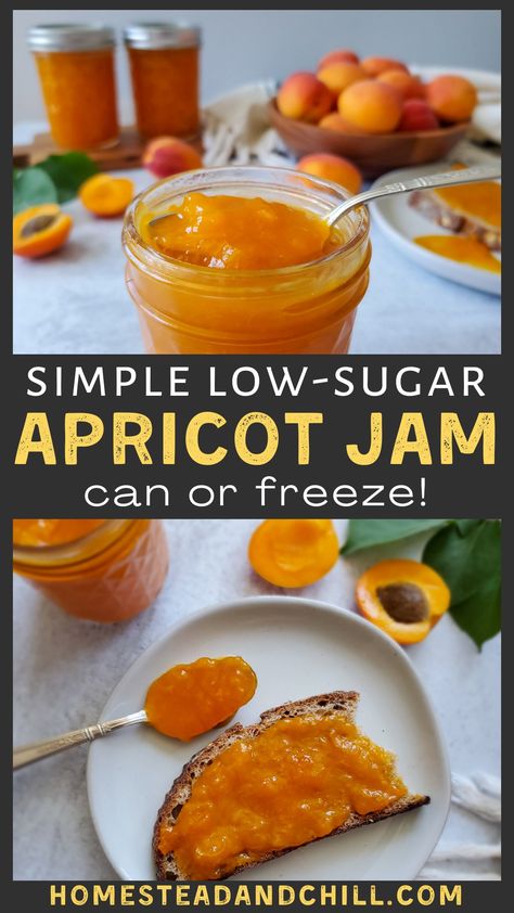 Apricot Breakfast Recipes, Apricot Recipes Jam, Apricot Jam Recipe, Canned Apricot Recipes, Fresh Apricot Recipes, Sugar Free Apricot Jam Recipe, Low Sugar Peach Jam Recipe Canning, Apricot Freezer Jam Recipe, Apricot Pineapple Freezer Jam Recipe