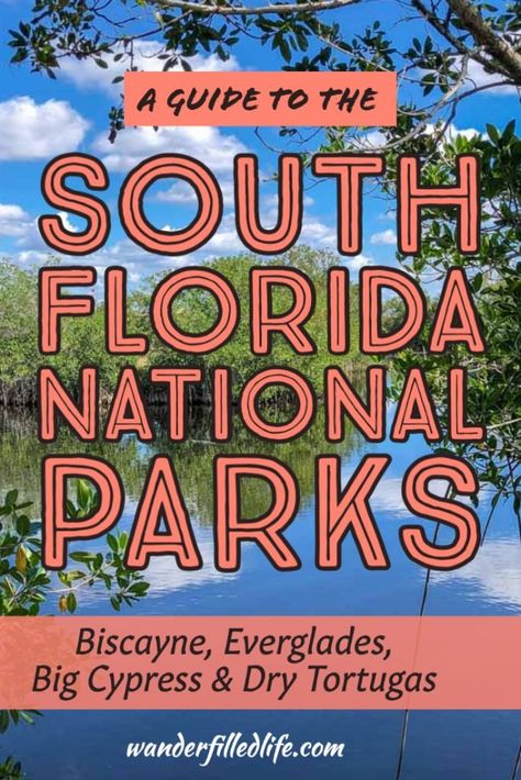 South Florida National Parks: A Complete Guide - Our Wander-Filled Life Florida National Parks, Biscayne National Park, Fl Beaches, Dry Tortugas National Park, Dry Tortugas, How To Book A Cruise, Everglades National Park, National Park Road Trip, Winter Getaway